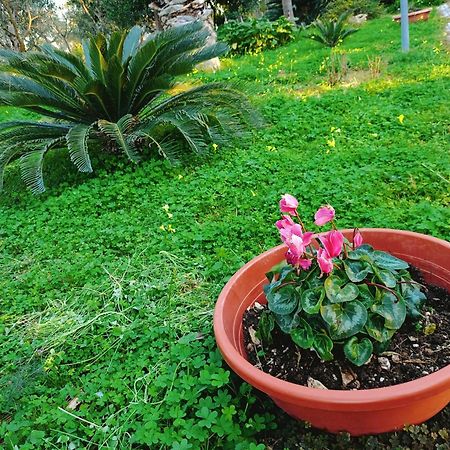 مودونيو B&B Verdeoliva المظهر الخارجي الصورة