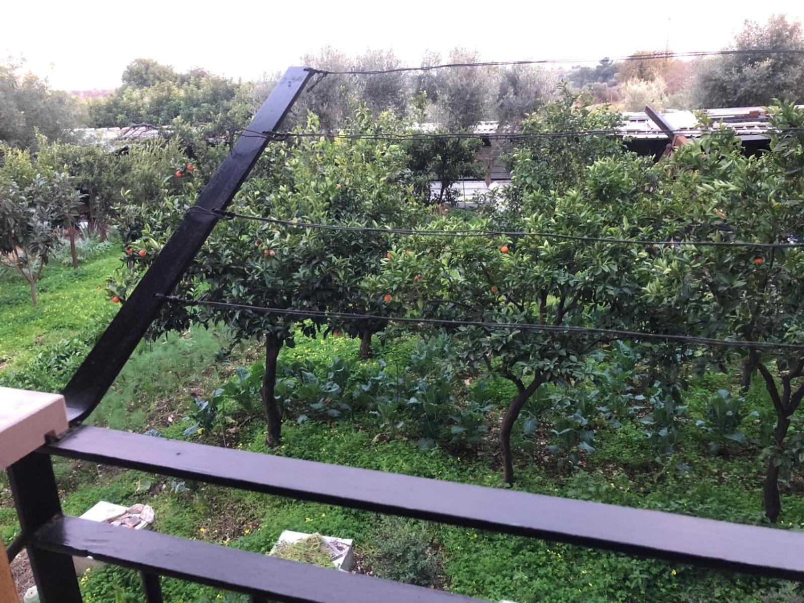 مودونيو B&B Verdeoliva المظهر الخارجي الصورة