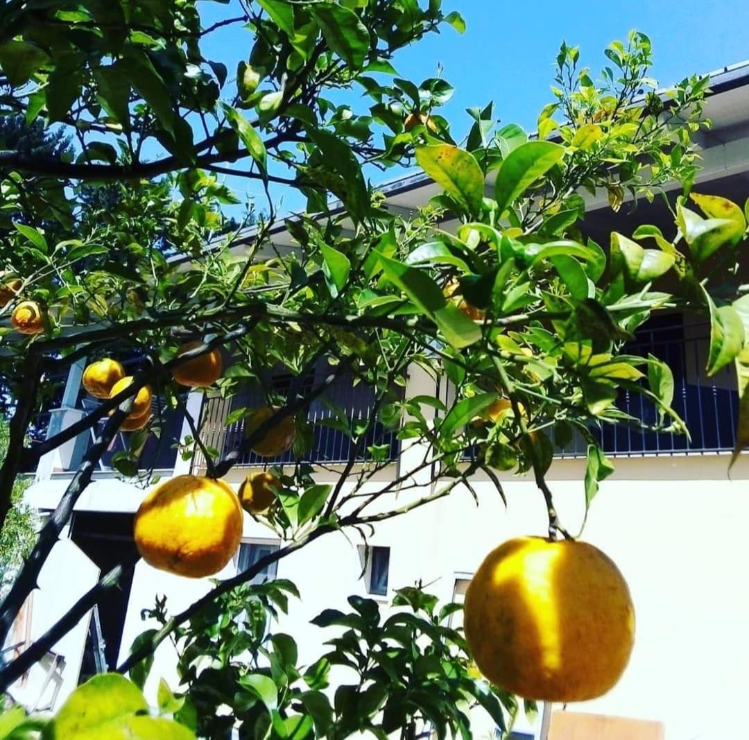 مودونيو B&B Verdeoliva المظهر الخارجي الصورة
