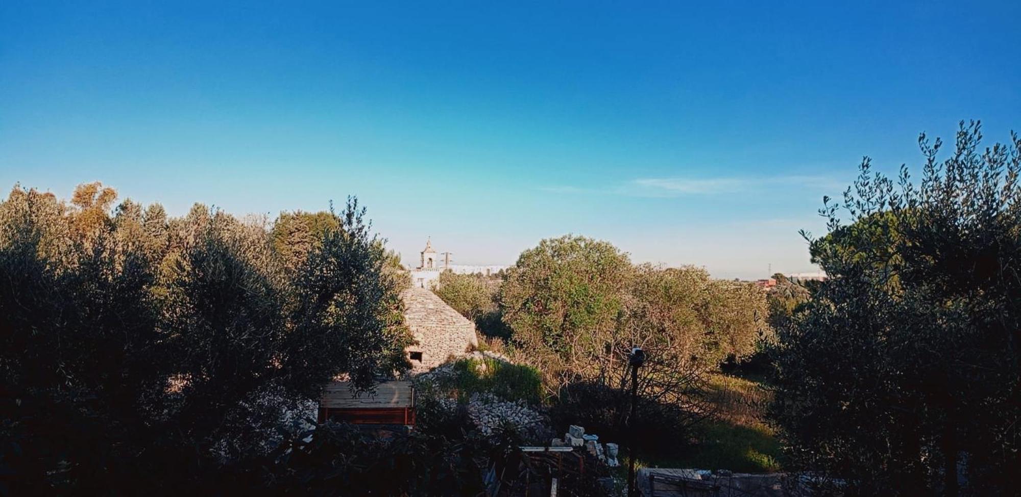 مودونيو B&B Verdeoliva المظهر الخارجي الصورة