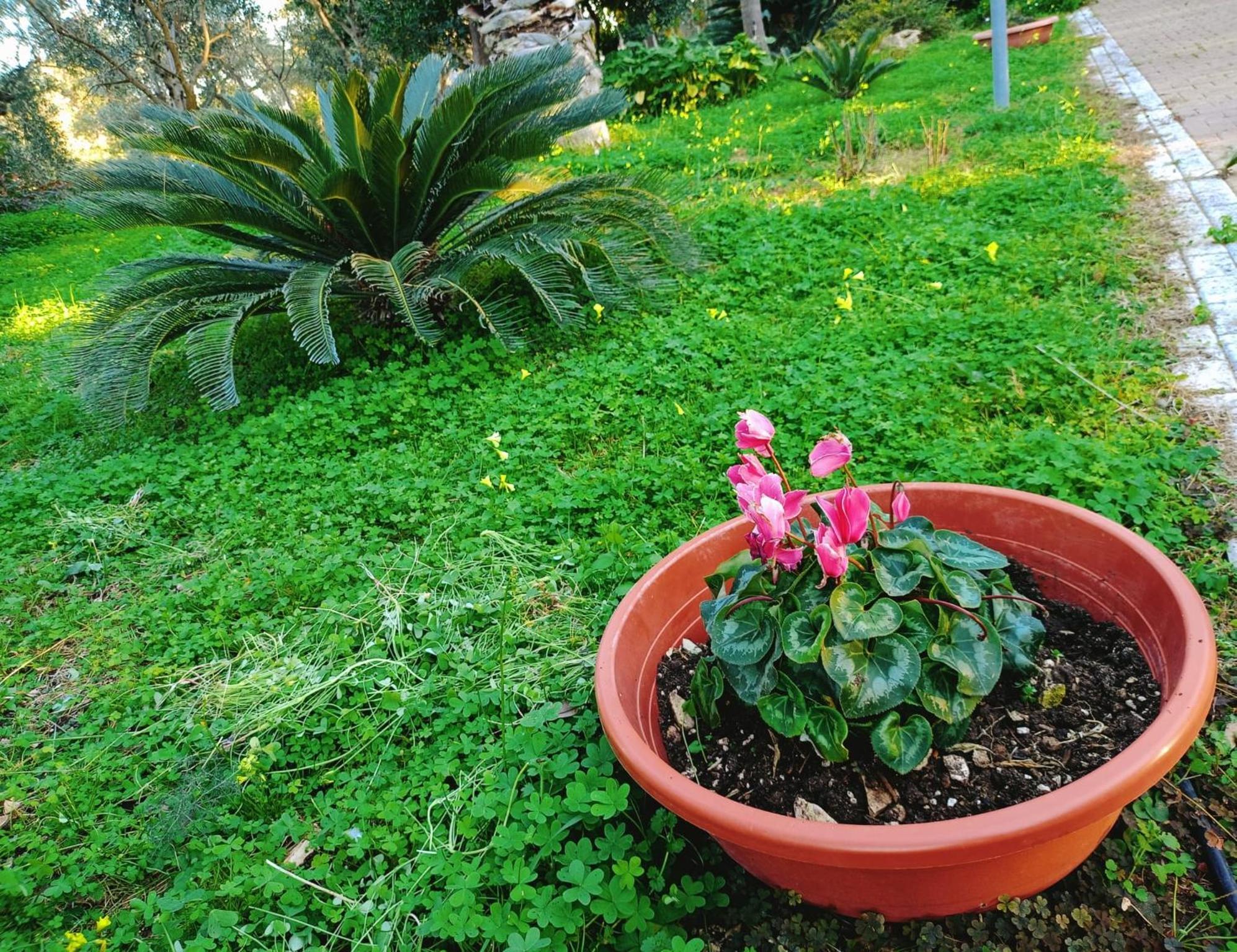 مودونيو B&B Verdeoliva المظهر الخارجي الصورة
