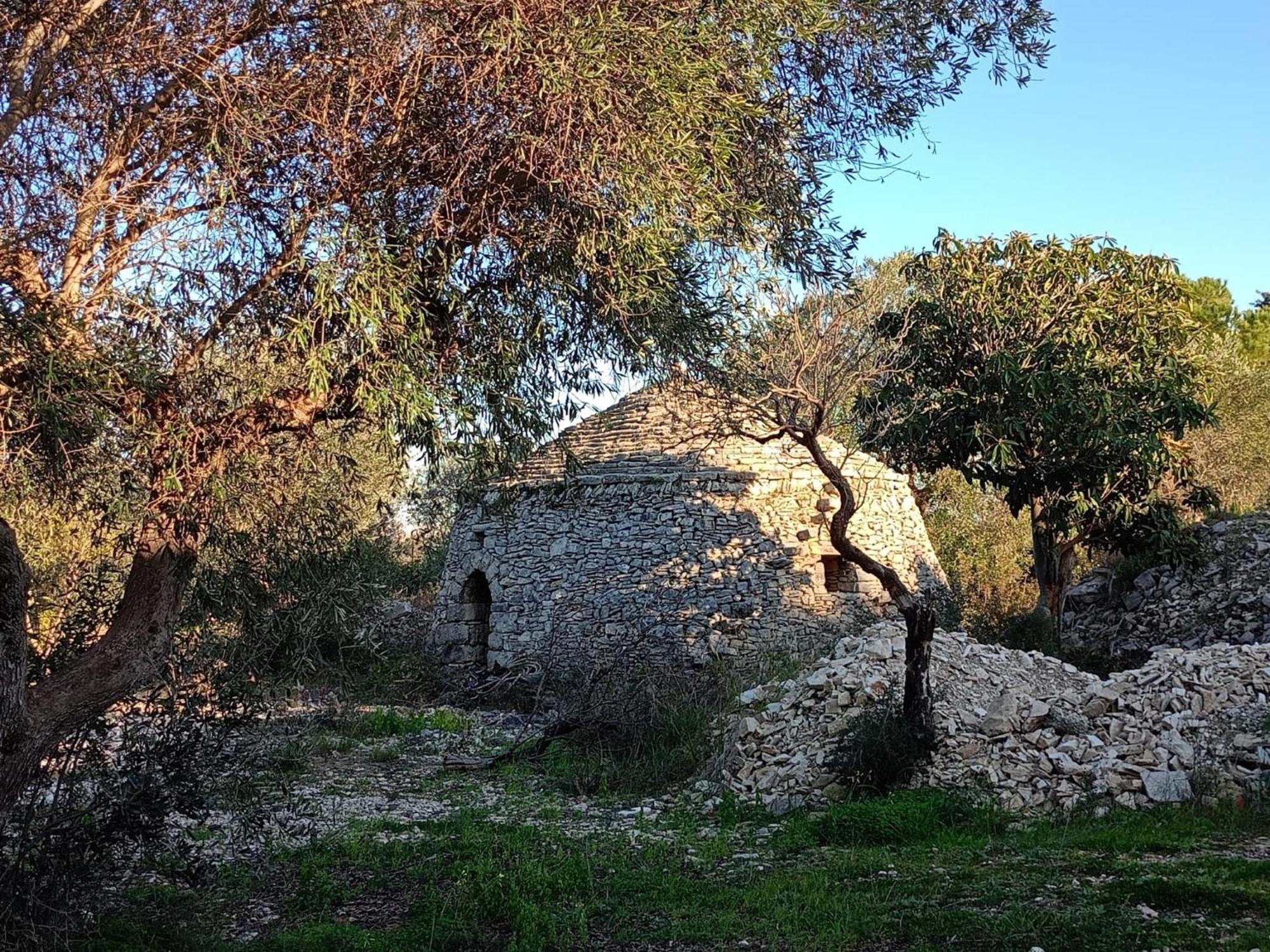 مودونيو B&B Verdeoliva المظهر الخارجي الصورة